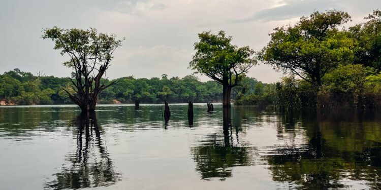 Alerta no Brasil: NASA identifica regiões que podem se tornar inabitáveis nas próximas décadas