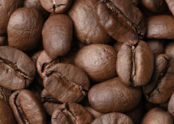 Esse café custa uma fortuna, tem gosto de chocolate e é “feito” nas fezes de um animal