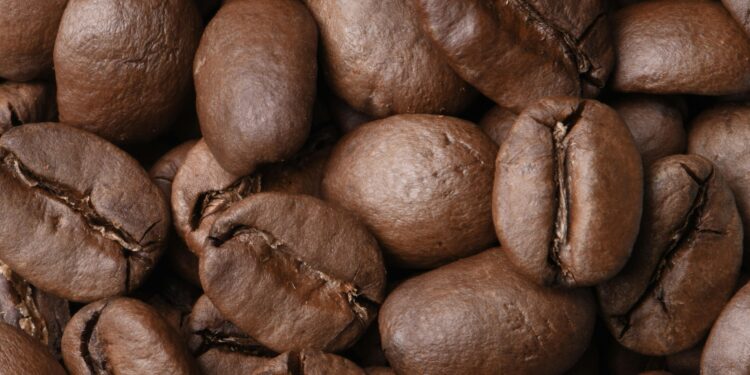 Esse café custa uma fortuna, tem gosto de chocolate e é “feito” nas fezes de um animal