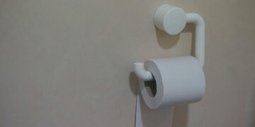 Adeus aos ratos e as baratas: como eliminá-los com papel higiênico e sem veneno