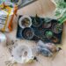As melhores plantas para quem mora em apartamento com pouca luz natural