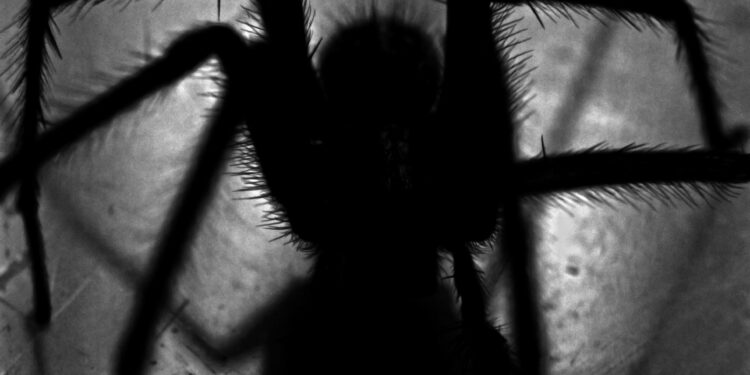 Animal pré-histórico de 100 milhões de anos é o real pesadelo de quem tem aracnofobia