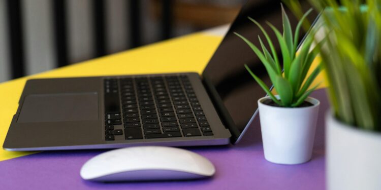 As melhores plantas para quem trabalha em home office e precisa de foco
