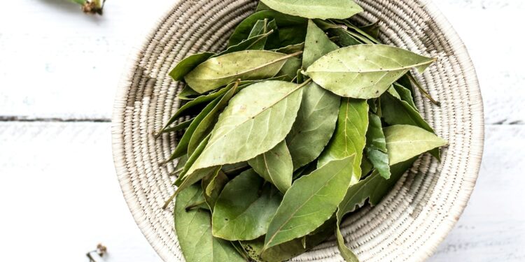 Foto: Monika Grabkowska/Unsplash