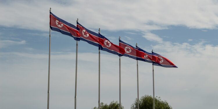 Foto: Mike Bravo/Unsplash