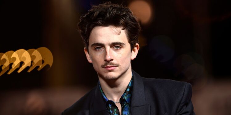 “Rival” de Wagner Moura no Oscar, Timothée Chalamet larga na frente e já celebra vitória histórica