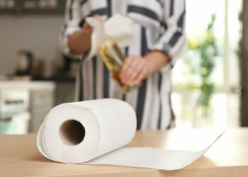 Pode colocar papel-toalha no micro-ondas?