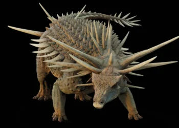 Encontrado dinossauro com “armadura de espinhos” que viveu há mais de 100 milhões de anos