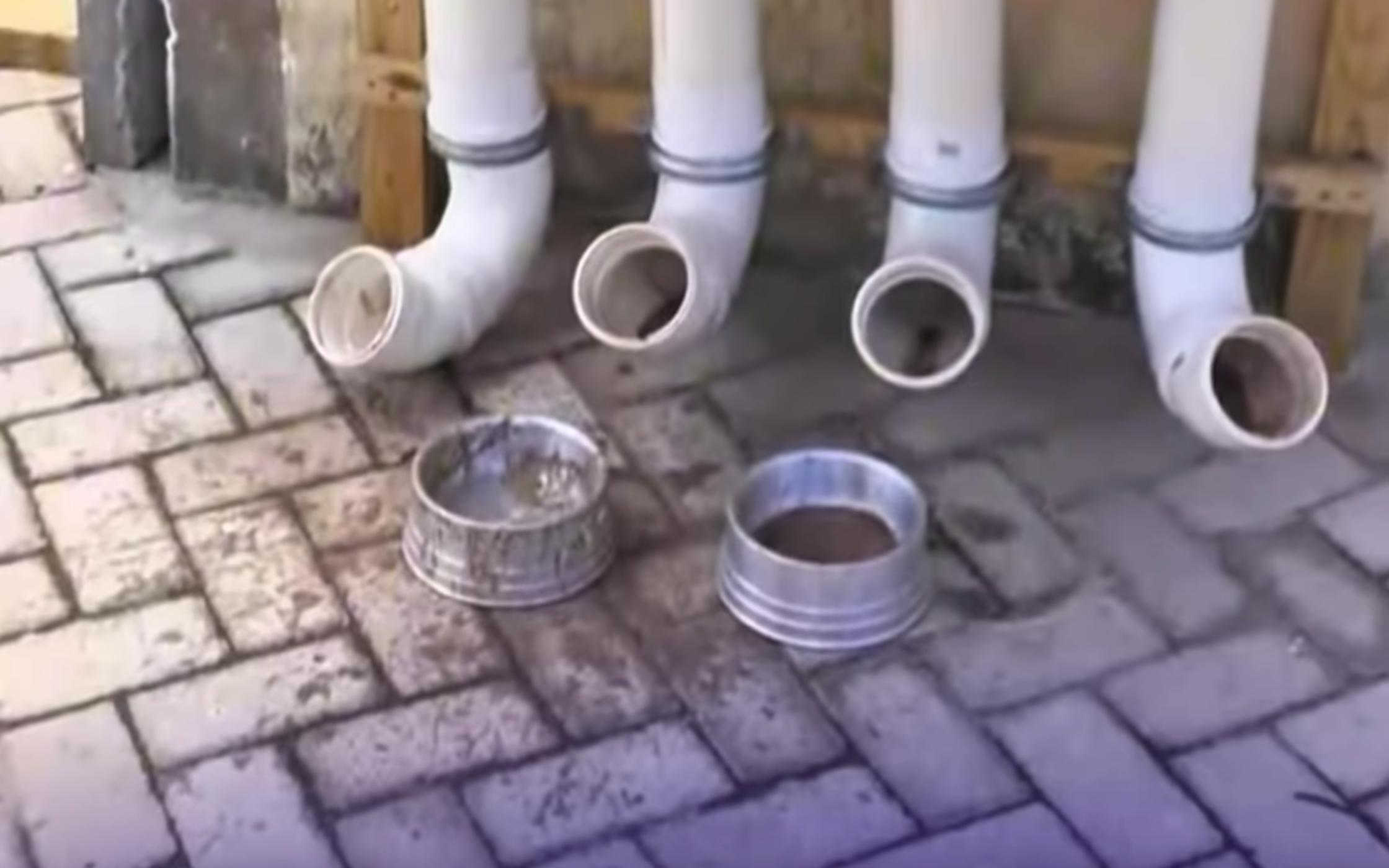 Comedouro inaugurado por Randolfe está entregue às larvas