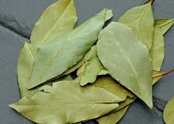Por que colocar uma folha de louro na geladeira pode ajudar mais do que você imagina