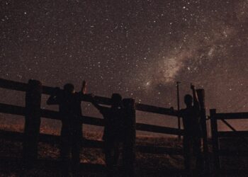 Reprodução: .Pexels/MELQUIZEDEQUE ALMEIDA