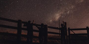Reprodução: .Pexels/MELQUIZEDEQUE ALMEIDA