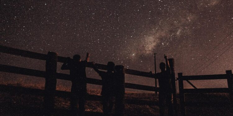 Reprodução: .Pexels/MELQUIZEDEQUE ALMEIDA