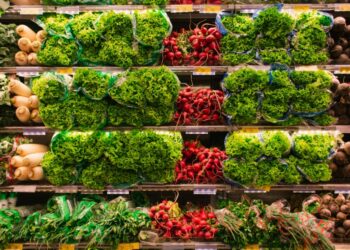 A verdura que é tratada como "ouro da natureza" e pode resolver o problema do colesterol ruim