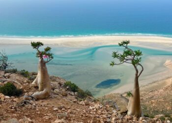 Esta é a ilha mais rara do mundo: possui Sangue de Dragão e milhares de espécies únicas