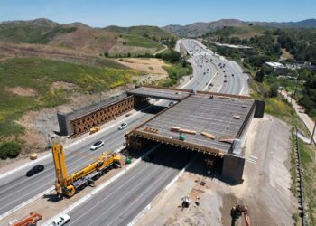 EUA constroem a maior ponte para animais do mundo: obra custará 19 milhões de dólares