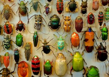 Foto: James Wainscoat/Unsplash