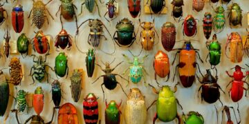 Foto: James Wainscoat/Unsplash