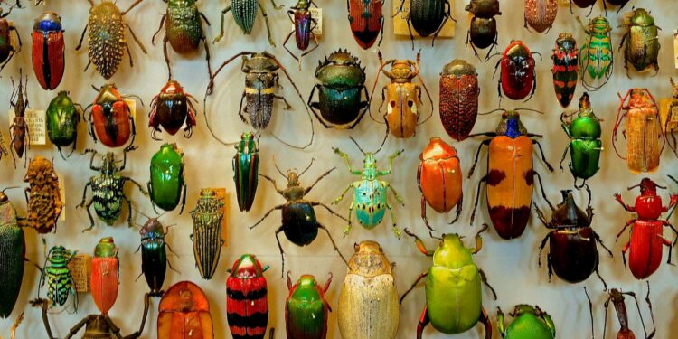 Foto: James Wainscoat/Unsplash