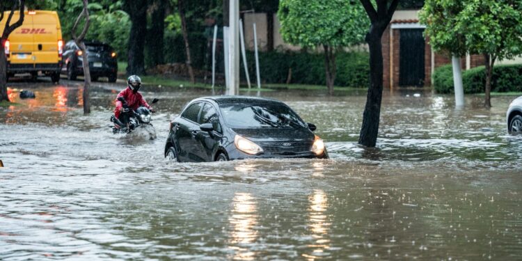 Foto: Aldward Castillo/Unsplash