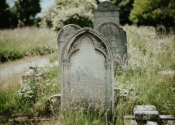 Foto: Annie Spratt/Unsplash