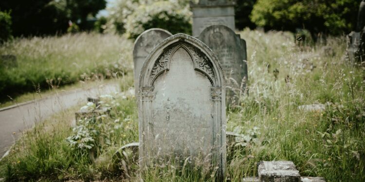 Foto: Annie Spratt/Unsplash