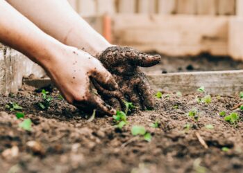Foto: Sandie Clarke/Unsplash