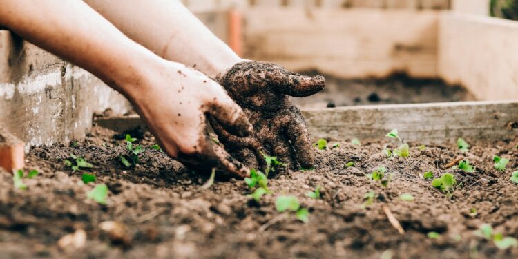 Foto: Sandie Clarke/Unsplash