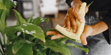 Foto: prostooleh/Freepik