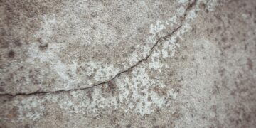 Foto: awesomecontent/Freepik