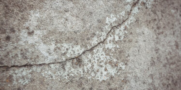 Foto: awesomecontent/Freepik