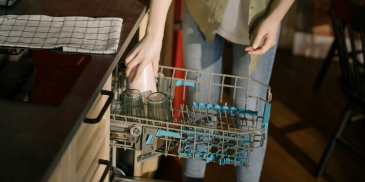 Foto: cottonbro studio/Pexels