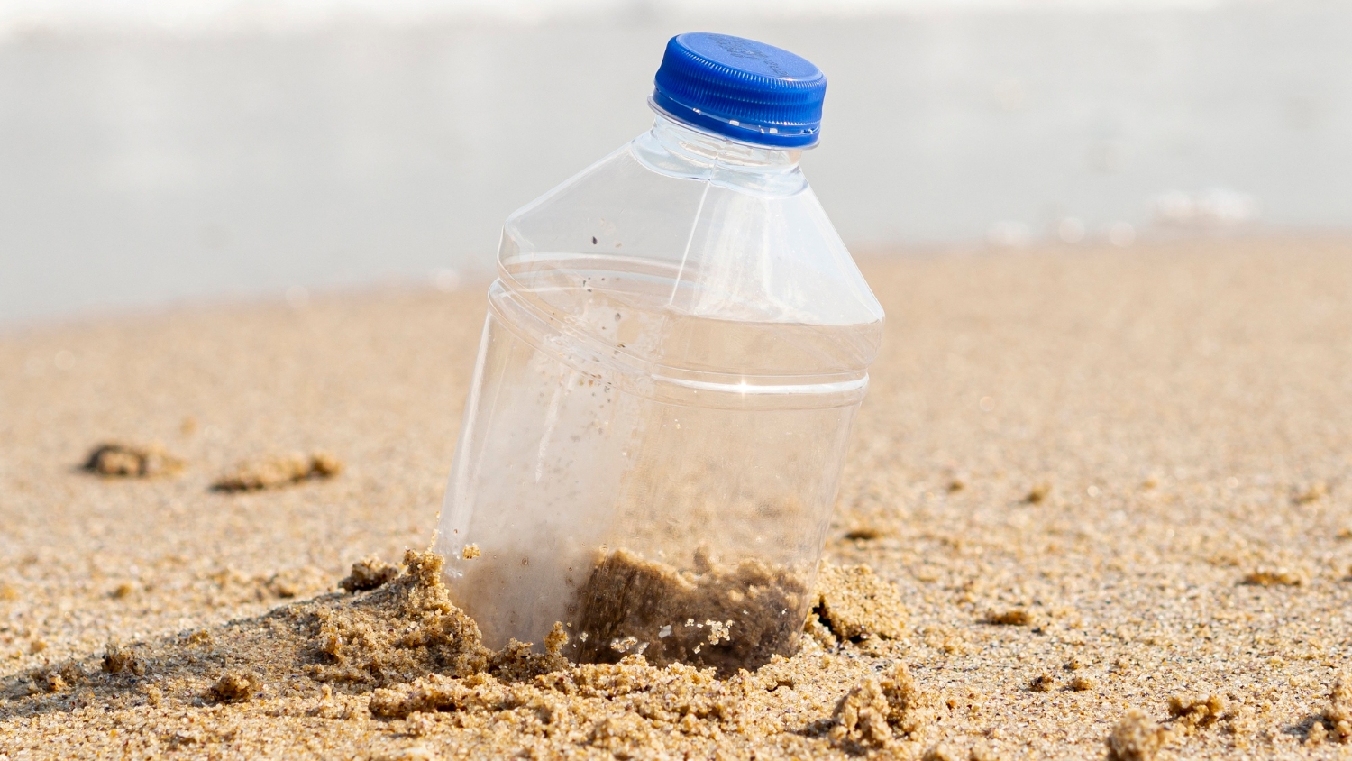 Enterrar garrafas com água na terra de suas plantas: para que serve este truque