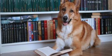 Foto: anotherxlife/Unsplash