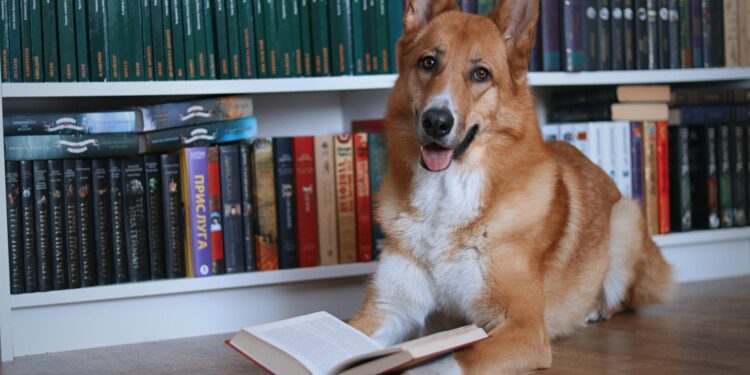 Foto: anotherxlife/Unsplash