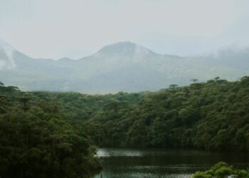Foto: Nathália Arantes/Unsplash