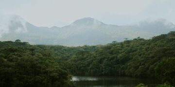 Foto: Nathália Arantes/Unsplash