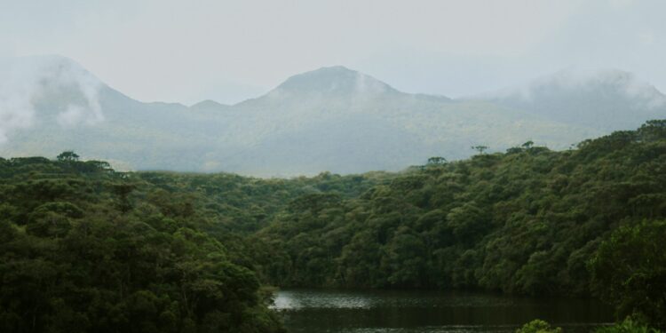 Foto: Nathália Arantes/Unsplash