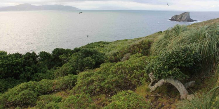 Foto: André Ganzarolli Martins/Wikimedia Commons