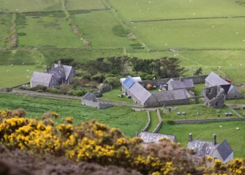 Você iria? Lugar sem luz nem banheiro oferece salário de R$ 92 por hora