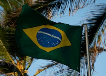 Foto: Fernando Dantas/Unsplash