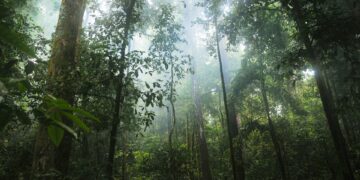 Foto: Crystal Mirallegro/Unsplash