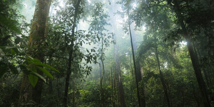 Foto: Crystal Mirallegro/Unsplash