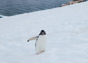 O continente mais isolado do mundo acaba de testemunhar um feito histórico da NASA