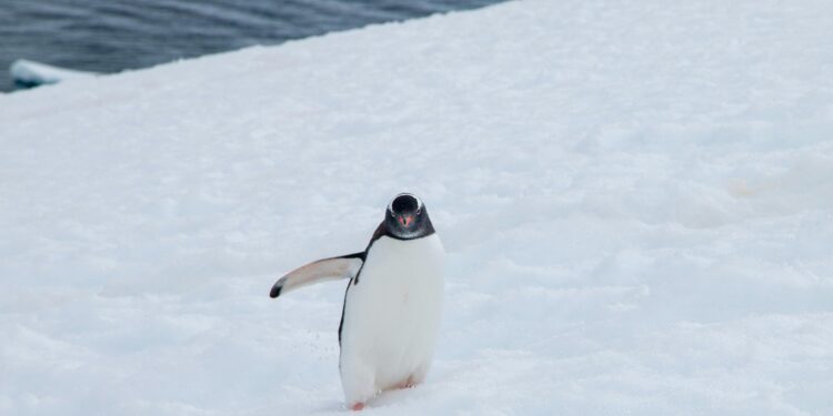 O continente mais isolado do mundo acaba de testemunhar um feito histórico da NASA