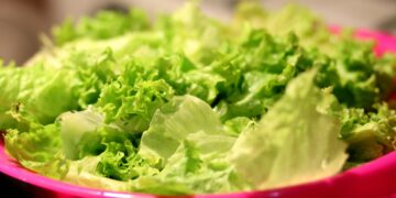 Chefs de cozinha usam um truque simples para manter a alface verde por até 2 meses