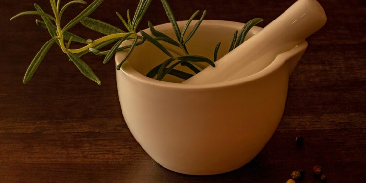 Colocar ramos de alecrim no balde de limpeza: por que recomendam e para que serve