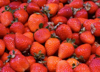 Qual é o melhor método para lavar os morangos?