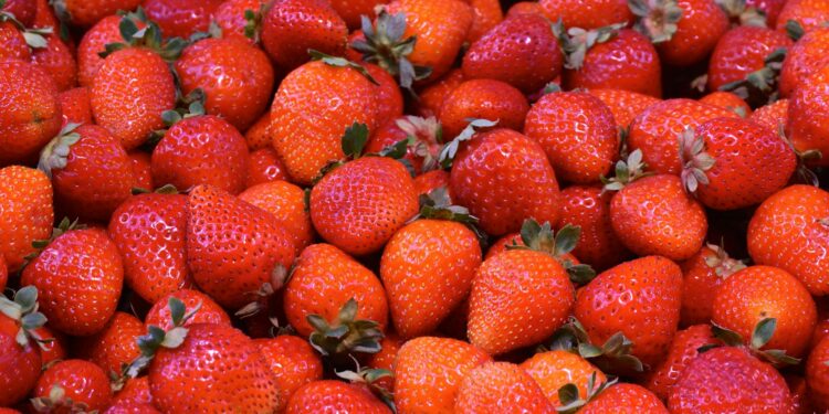 Qual é o melhor método para lavar os morangos?