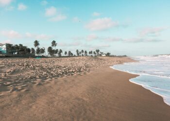 Alerta nas praias: espécie com veneno fatal é encontrada neste país